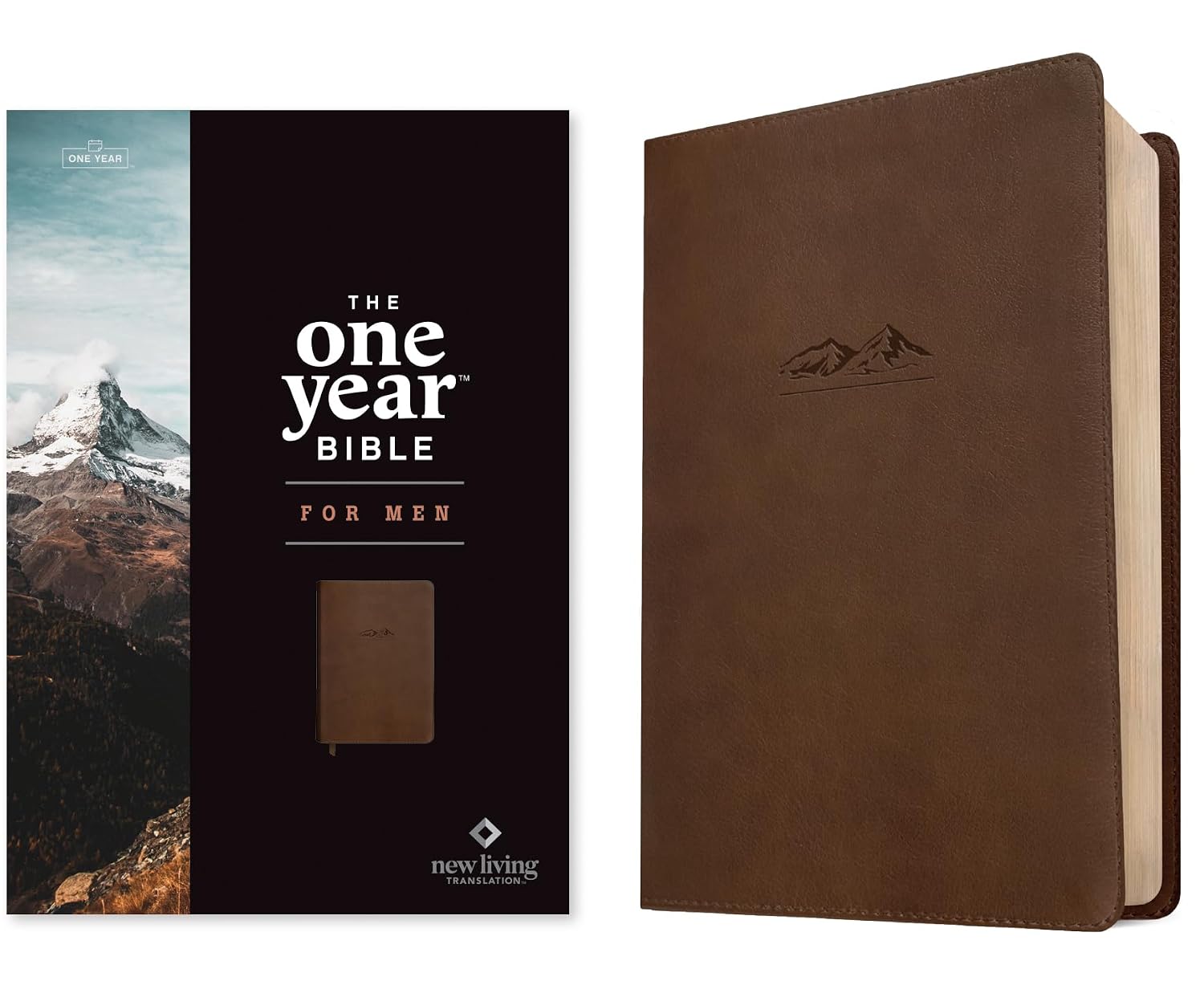 Fifteen Minutes a Day. Reviewing the NLT One Year Bible for Men