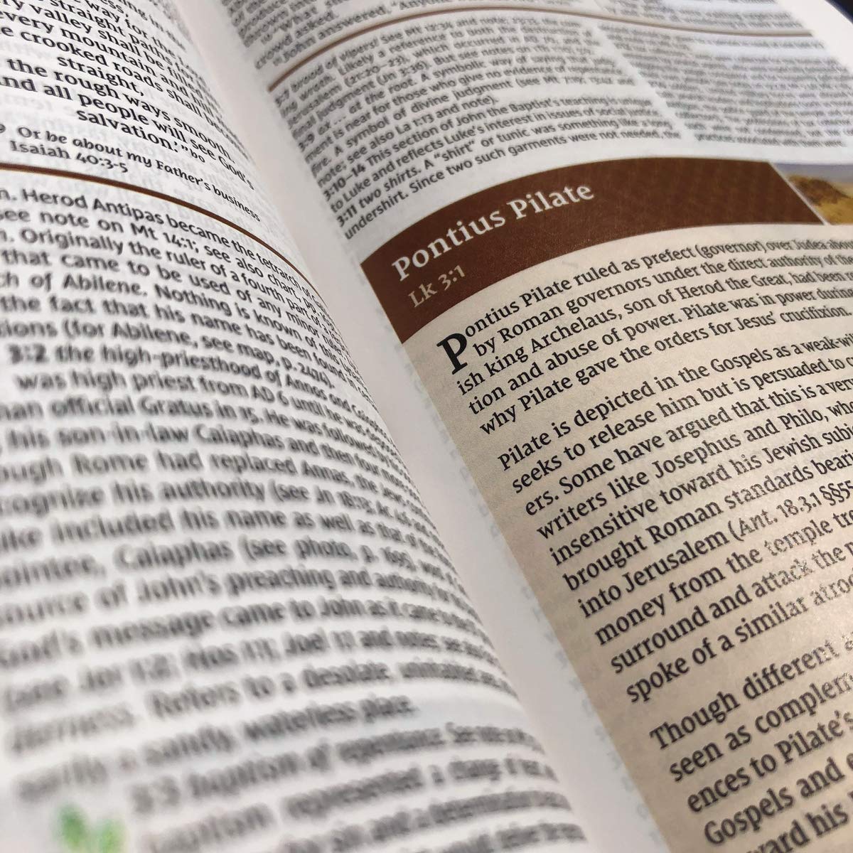A Classic That Fits in Your Bag. Reviewing the NIV Study Bible, Fully Revised Edition, Personal Size